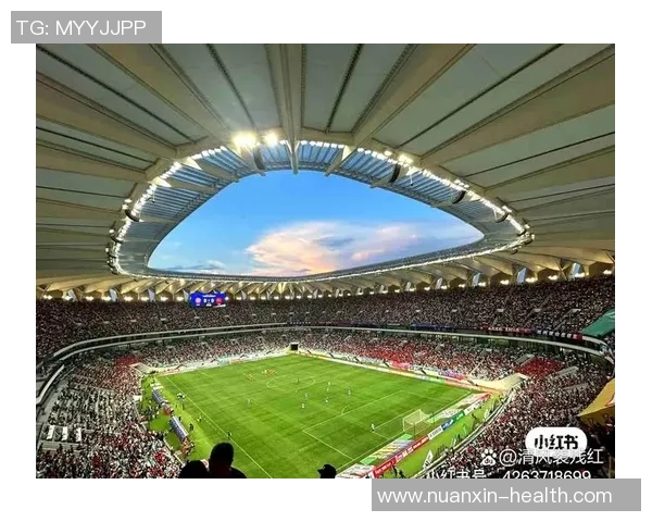 全球足球场排名揭晓最受欢迎的十座球场及其魅力分析