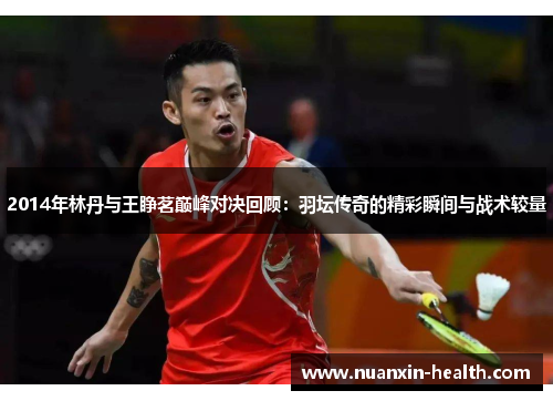 2014年林丹与王睁茗巅峰对决回顾：羽坛传奇的精彩瞬间与战术较量