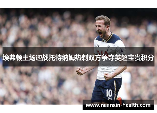 埃弗顿主场迎战托特纳姆热刺双方争夺英超宝贵积分