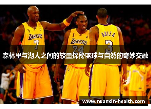 森林里与湖人之间的较量探秘篮球与自然的奇妙交融